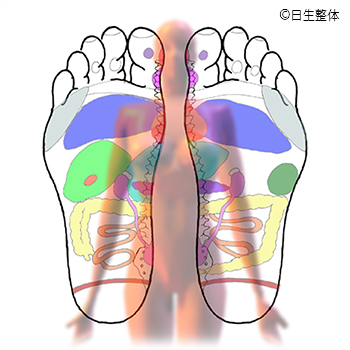 あしうらイメージ